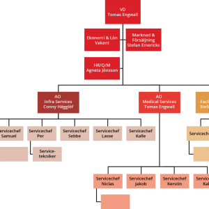 Saps Organisationskarta