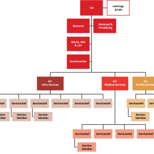 Saps karta över organisationen